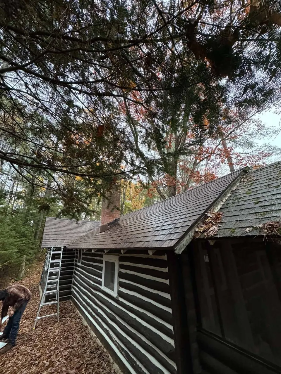 Log cabin with a shingled roof and brick chimney under tall pines, ladder in place